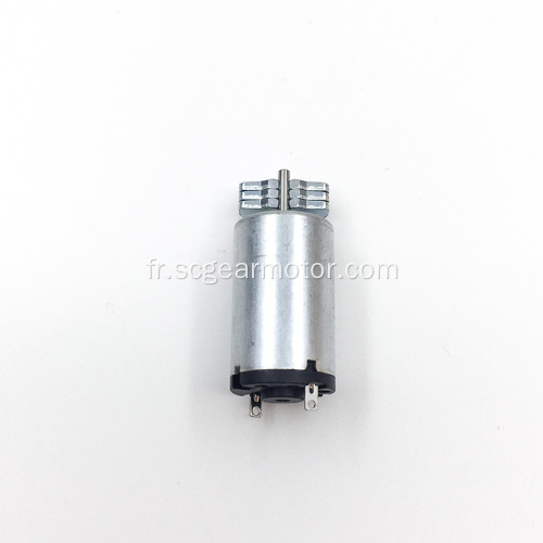 Petit moteur de vibrateur brossé à courant continu de 12 MM